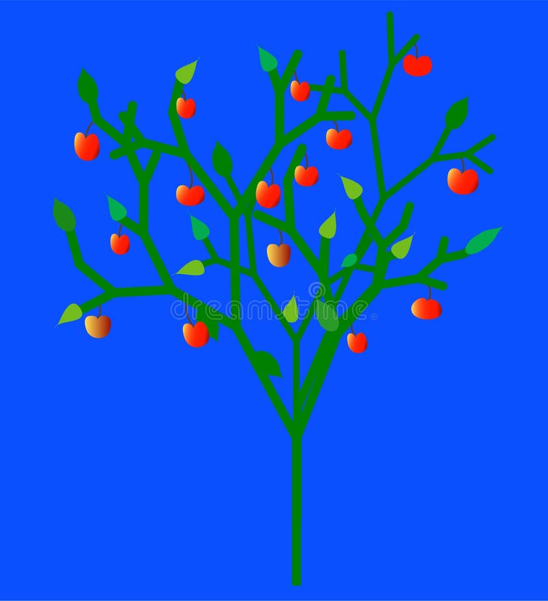Fruit apple tree