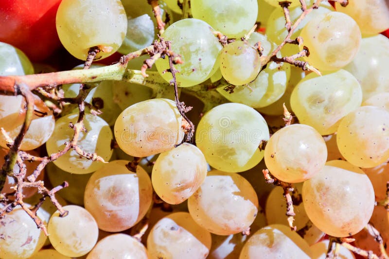 Fruit Background Texture Pattern Stock Photo Image of closeup, sweet