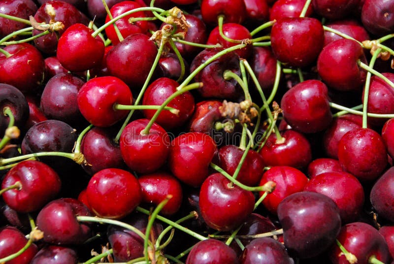 Fruit Background Texture Pattern Stock Illustration Illustration of