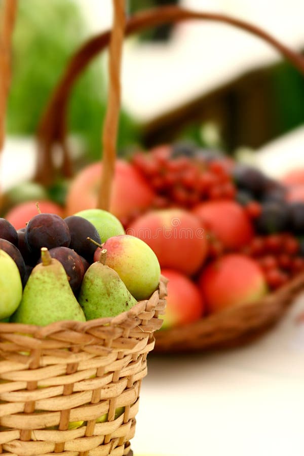 Fruit basket on display stock photo. Image of winner, grown 2928754