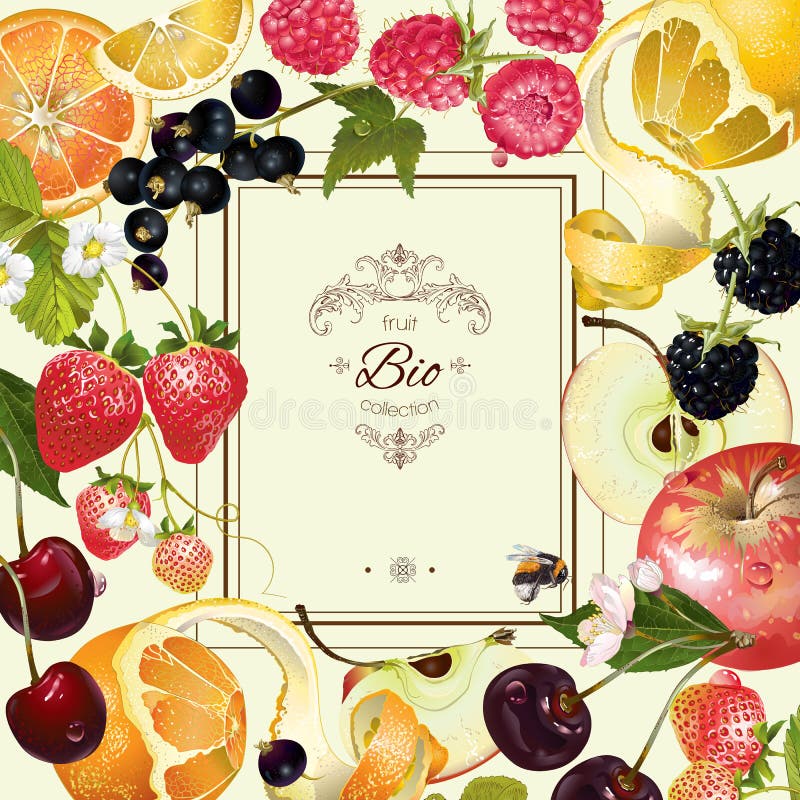 Fruit and berry frame