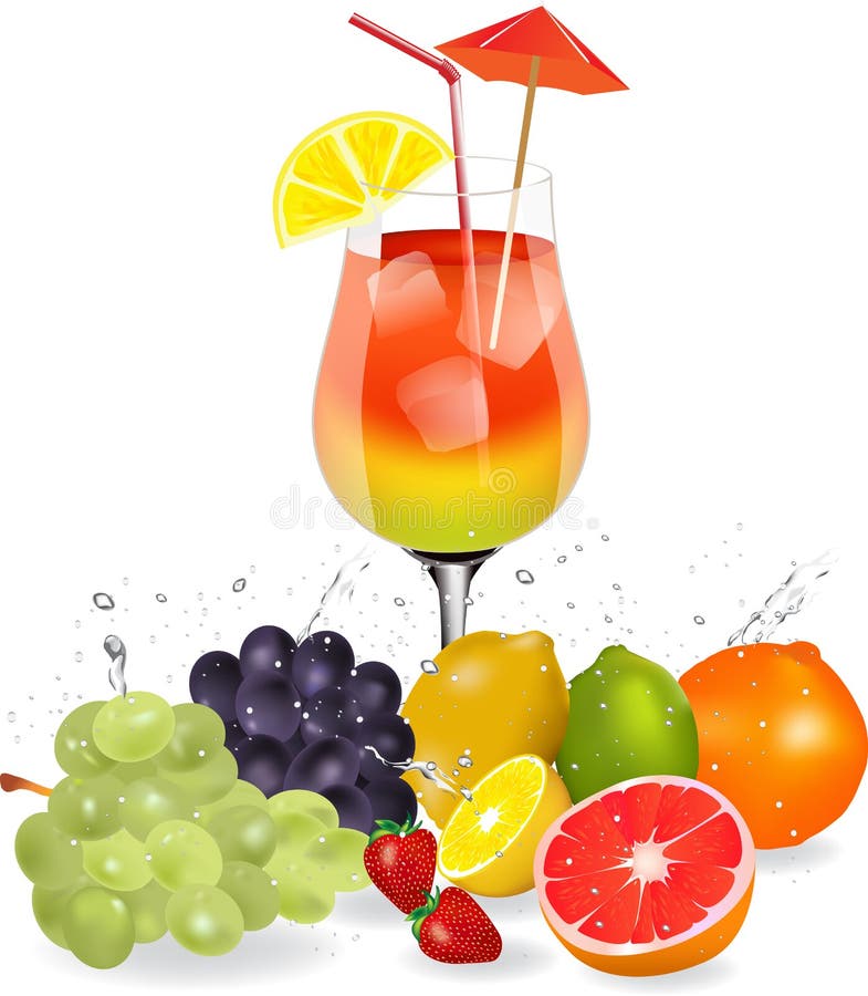 Fruit cocktail stock vector. Illustration of appetizer 41079862