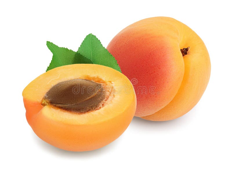 Abricot Et Moitie De Fruit Avec Le Noyau De Fruits Photos Libres De Droits Et Gratuites De Dreamstime Abricot Et Moitie De Fruit Avec Le Noyau De Fruits Photos Libres De Droits Et Gratuites De Dreamstime