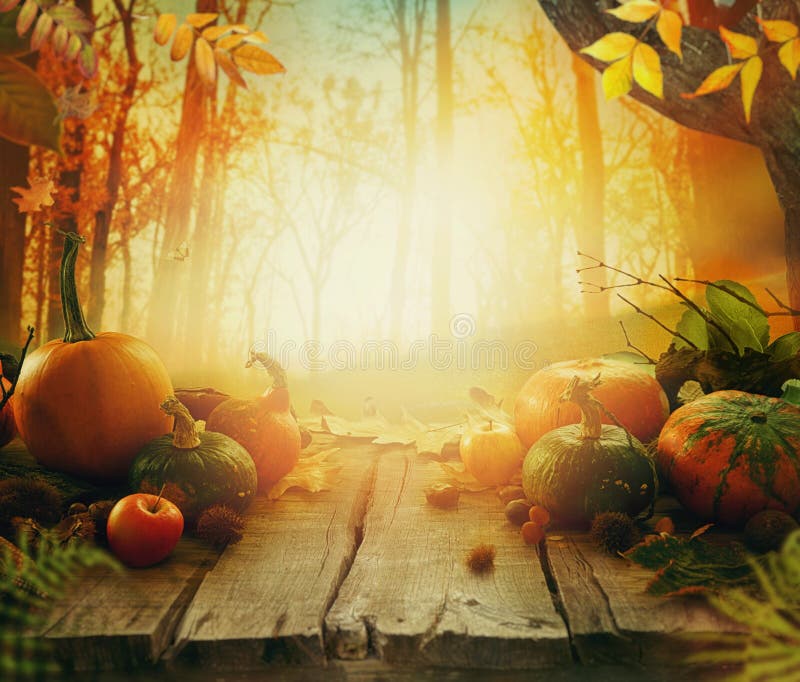 Fruit d'automne sur la table image stock Fruit d'automne sur la table image stock