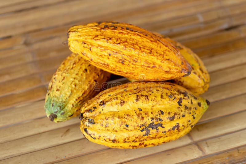 Fruit de cacao, haricots crus de cacao et fond de cosse de cacao photographie stock Fruit de cacao, haricots crus de cacao et fond de cosse de cacao photographie stock