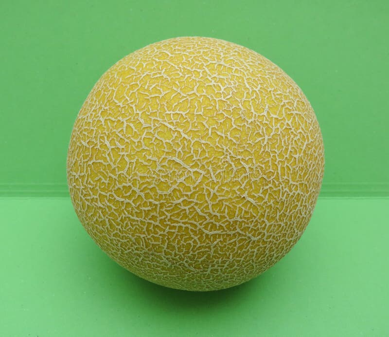 Fruit de Galia de melon image stock. Image du cuisine 73489375