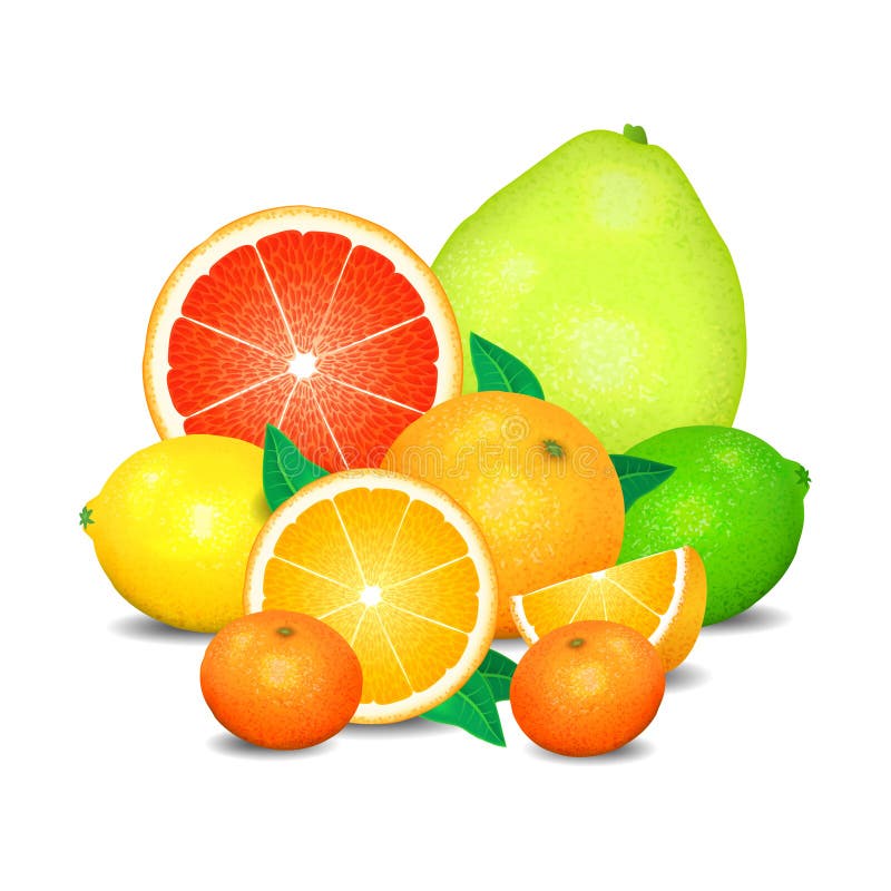 Fruit de l'agrume, ensemble d'agrumes Citrons, oranges et limettes