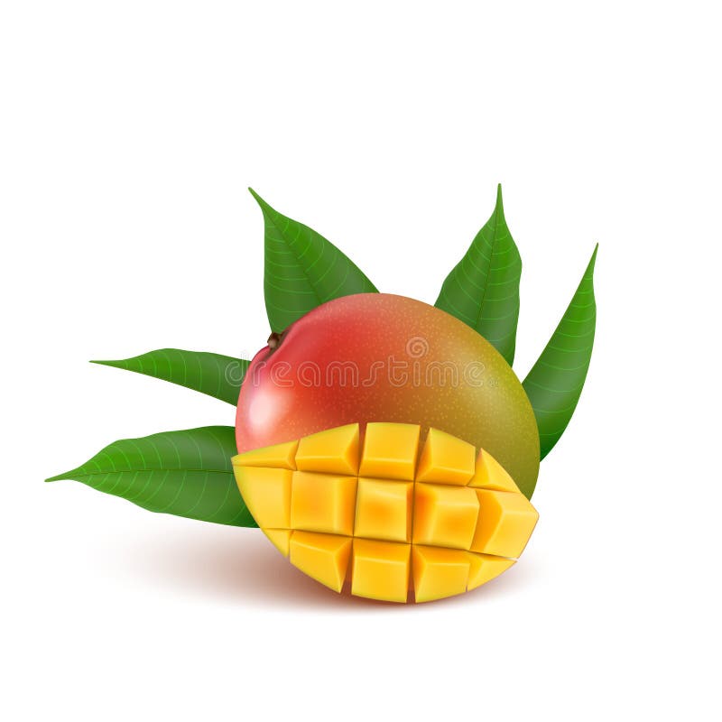 Fruit de mangue pour le jus frais, confiture, yaourt, pulpe yel 3d réaliste