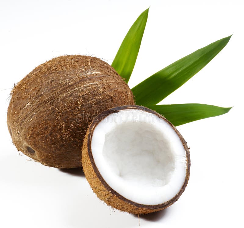 Fruit de noix de coco photo libre de droits Fruit de noix de coco photo libre de droits