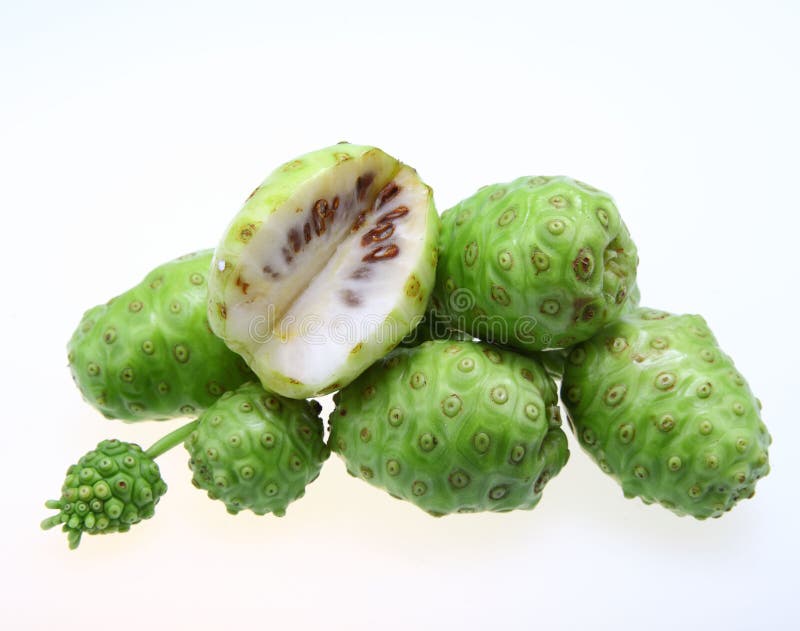 Noni Fruit on the white background. Noni Fruit on the white background