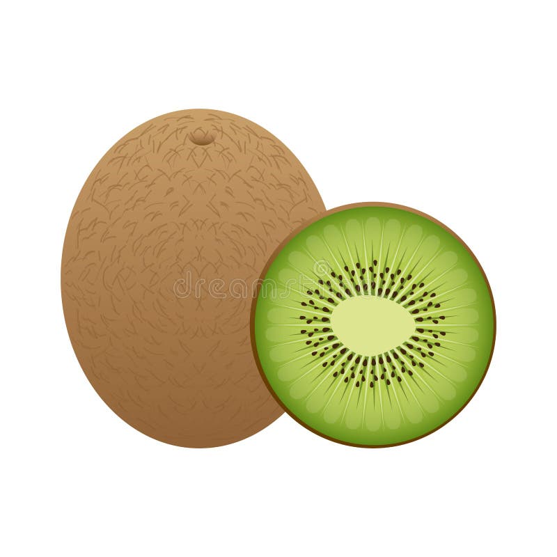 Fruit design stock illustration