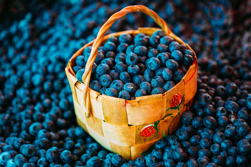 Fruit frais Berry Blueberries In Wicker Basket organique image libre de droits Fruit frais Berry Blueberries In Wicker Basket organique image libre de droits