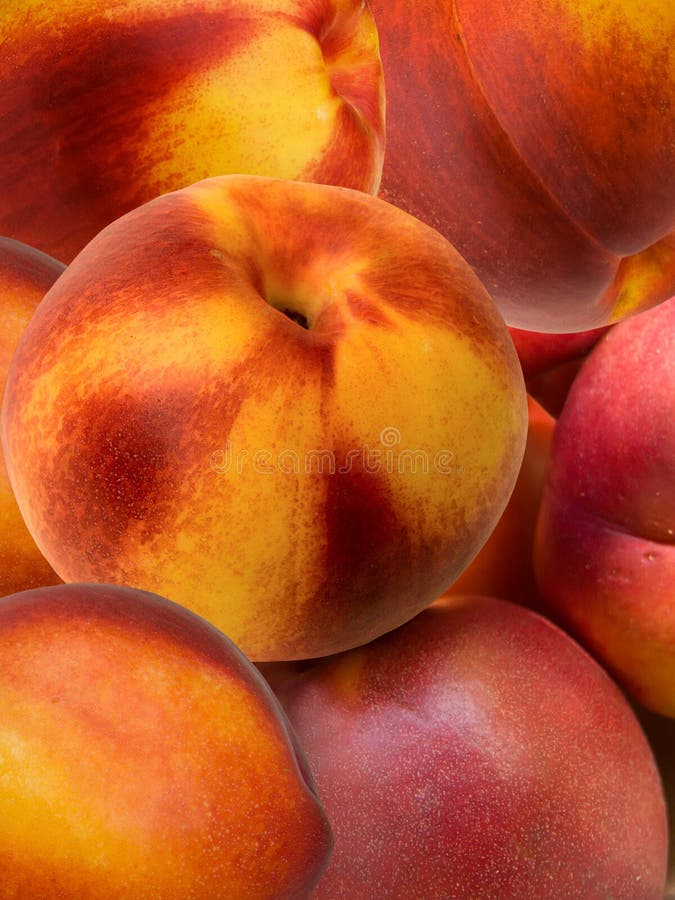 Fruit fresh a peach and apricot hybrid