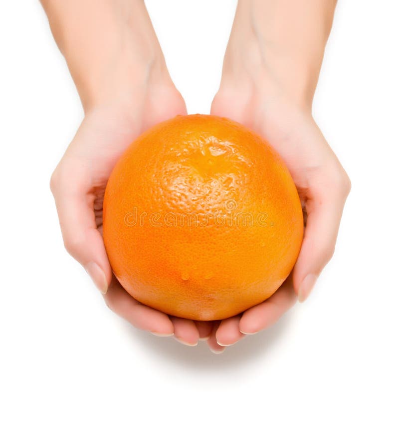 Fruit gift stock photo. Image of human, donation, hand 6968640