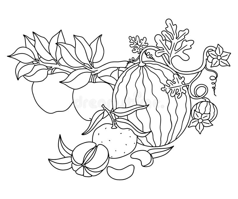 watermelon plant clipart black and white tree