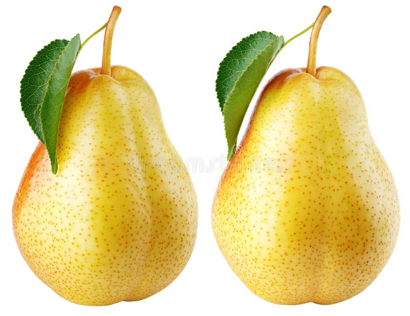 Poire jaune avec feuille verte sur fond blanc photo stock
