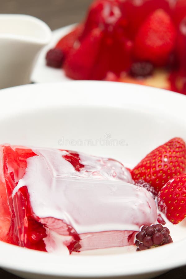 Fruit jelly and cream stock photo. Image of herb, served 91057088