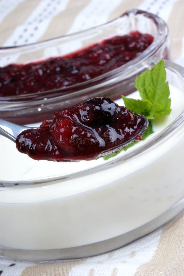 Fruit Jelly with Natural Yoghurt and Mint Stock Image Image of tasty