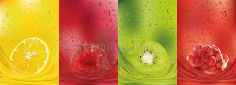Fruit juice, lemon, raspberry, kiwi, pomegranate. 3d fresh fruits. Fruit splashes close up. Vector illustration.