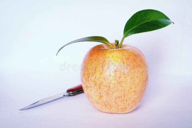 Fruit knife and apple stock image. Image of freshness 8202501