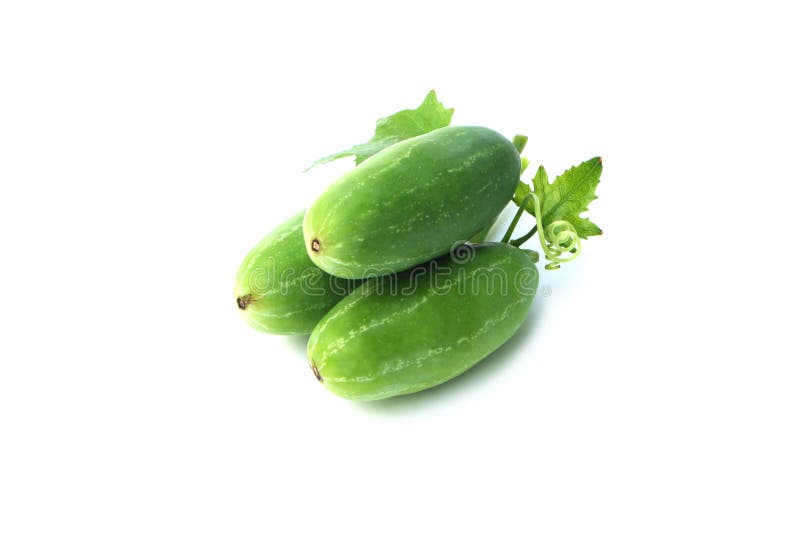 Fruit And Leaf Of Ivy Gourd Or Coccinia Grandis On White Background