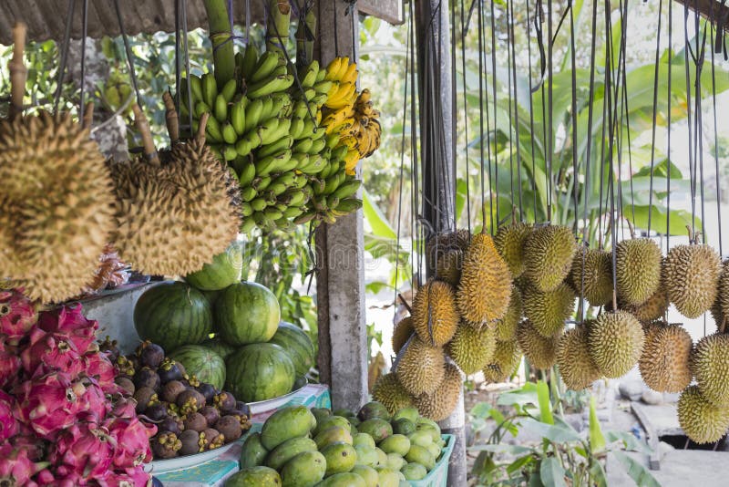 Fruit Market in Bali, Indonesia. Stock Photo Image of food, sapodilla