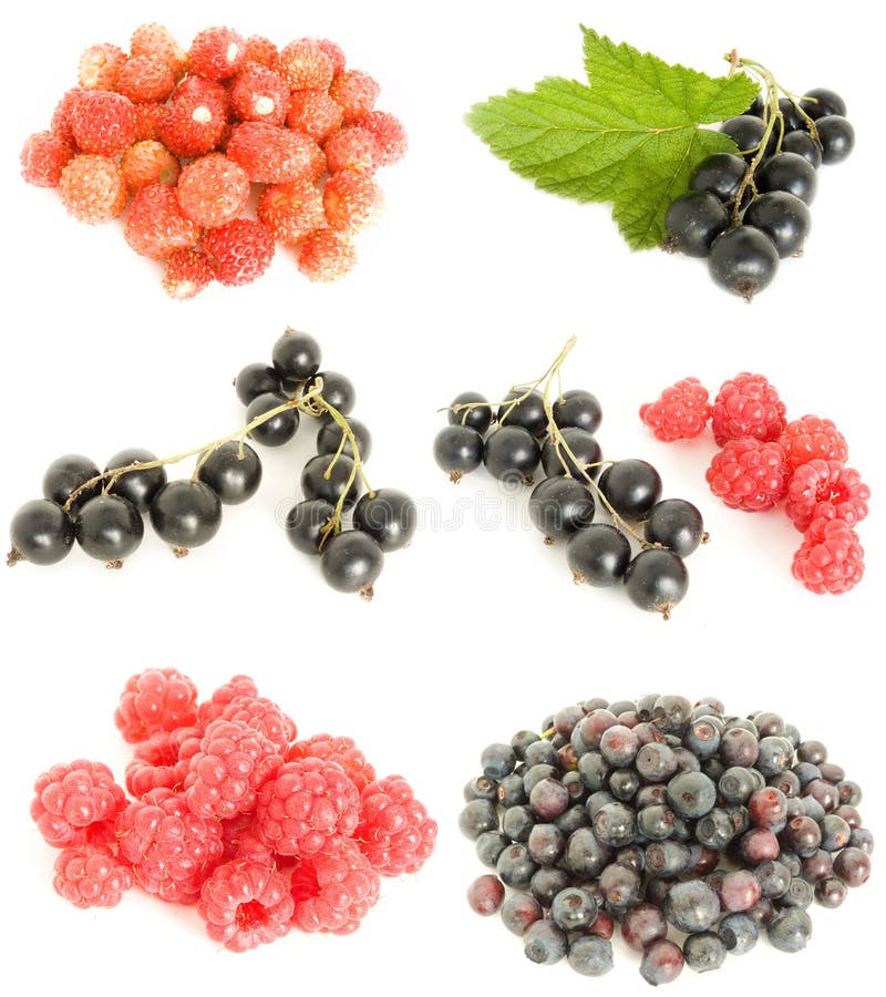 Fruit mixed stock photo. Image of ripe, food, nutrient 5805432