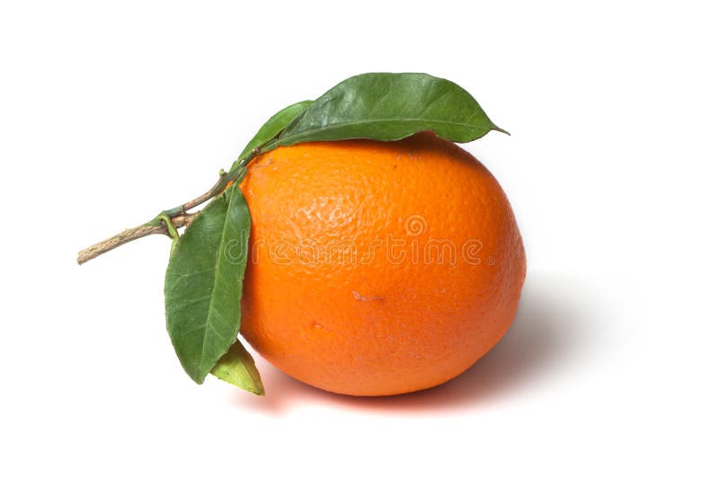 Fruit orange avec des feuilles sur le fond blanc images stock Fruit orange avec des feuilles sur le fond blanc images stock