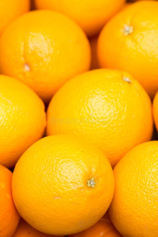 Fruit Set of Oranges and Green Apple Lies on a Stump Under a Pine Tree