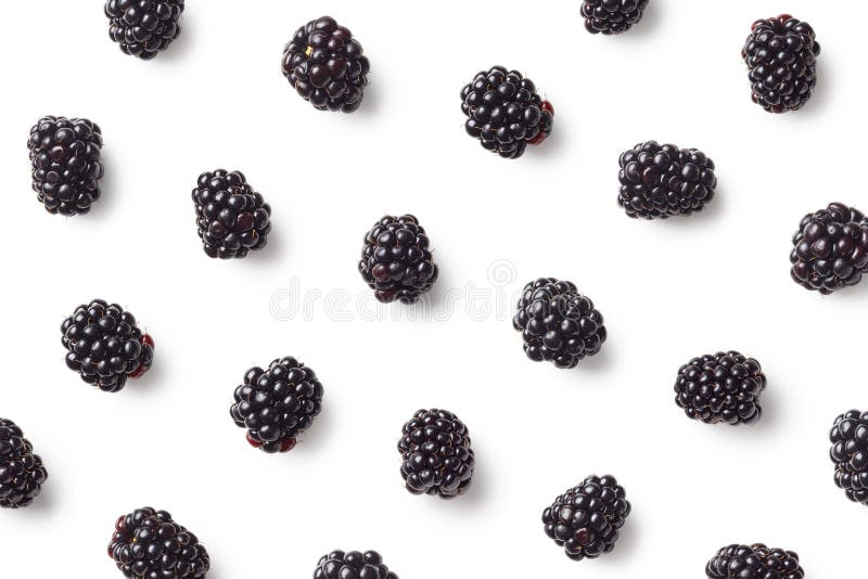 Fruit pattern of blackberries royalty free stock images Fruit pattern of blackberries royalty free stock images