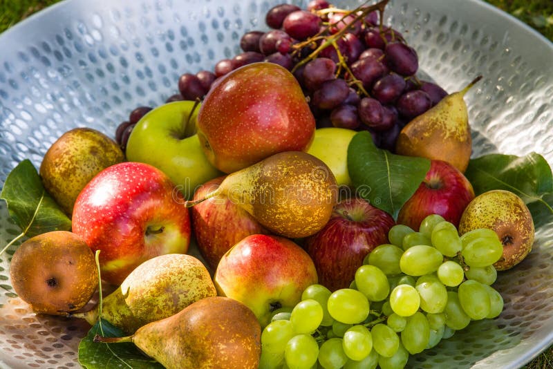 Fruit in a Bowl Apples, Pears and Grapes Stock Photo Image of