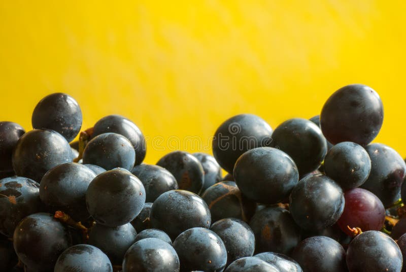 Fruit, Grapevine Family, Grape, Produce Picture. Image 102643959