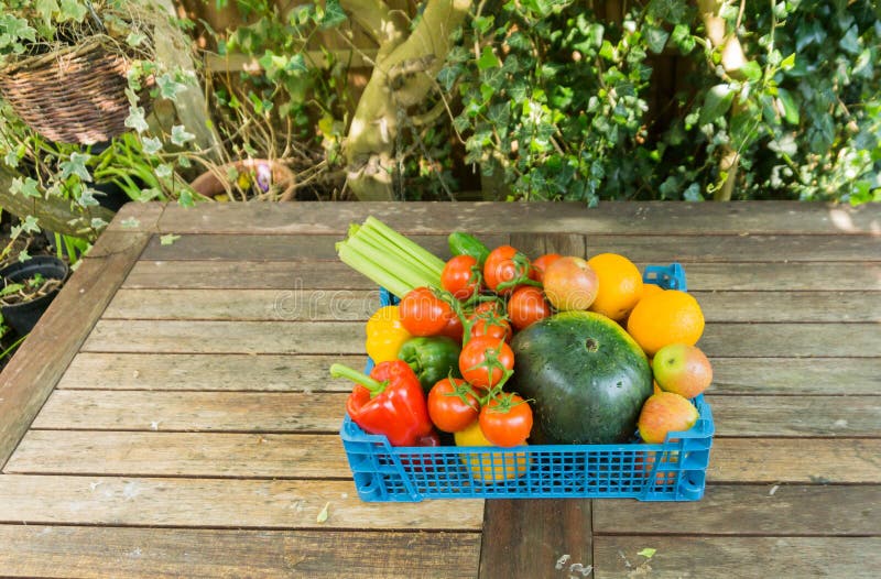 Fruit & Salad Selection in a Basket. Stock Photo Image of apples