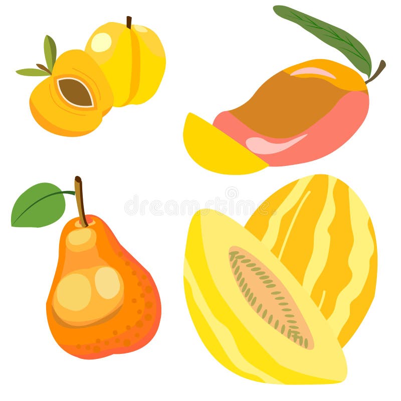 Fruit set of honey color, Sunny bright fruits-pear, melon, apricot and mango. Decorate cards, labels and menus