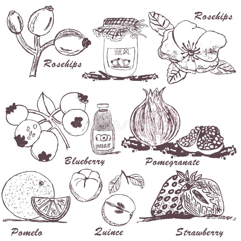 Delicious tropical and local fruits sketch icons Vector Image