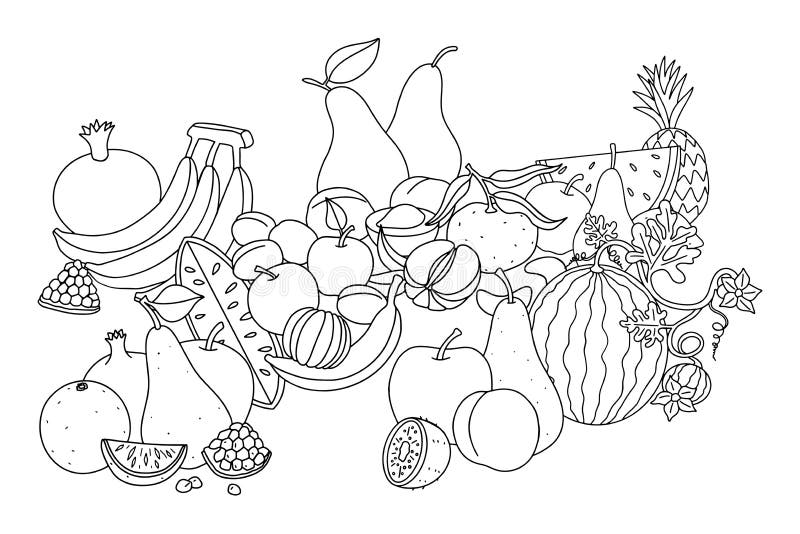 Fruit. Still life with different fruits, black outlines for kids coloring, outlined design. Vector black and white