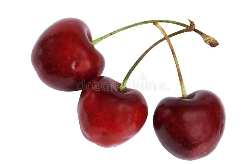 Fruit a sweet cherry