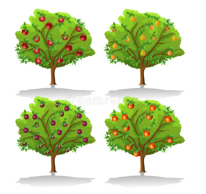 Download Fruit trees stock vector. Illustration of form, apple ...