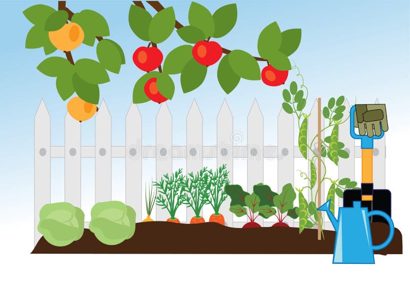Fruit and vegetable garden royalty free illustration Fruit and vegetable garden royalty free illustration