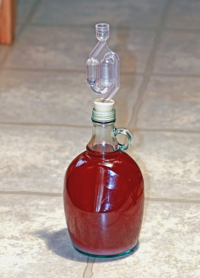 Fruit Wine Fermentation stock image. Image of flavor, bottles 6201023