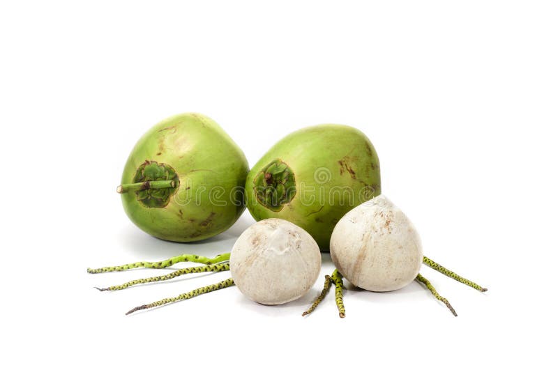 Frutto di cocco immagini stock