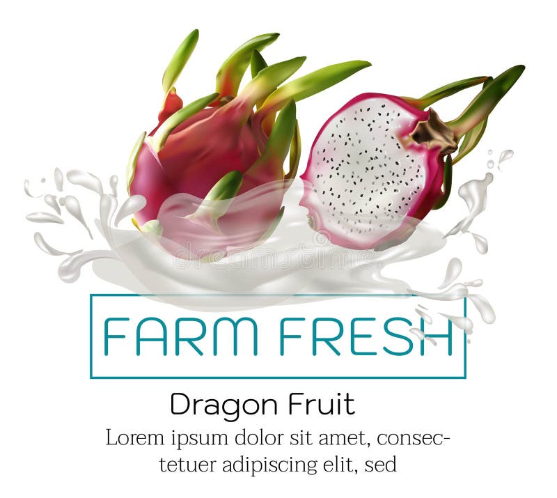 Fruits on Advertising Poster Vector Stock Vector Illustration of