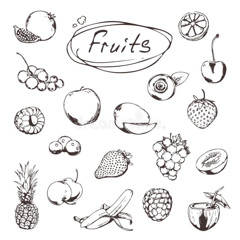 Vector sketch fruits isolated icons Stock Vector by ©Seamartini 193156690