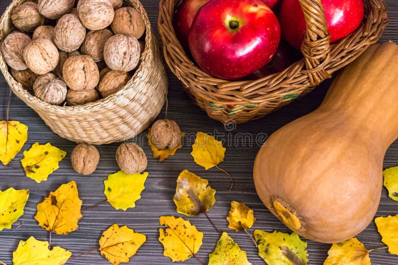 Fruits d'automne photo libre de droits Fruits d'automne photo libre de droits