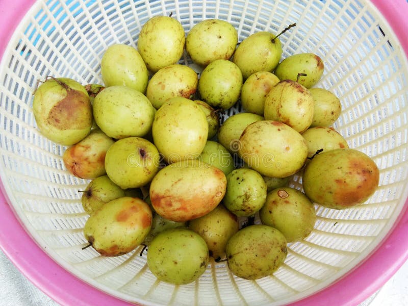 Jujube Dans Le Sachet En Plastique Image stock Image du tropical