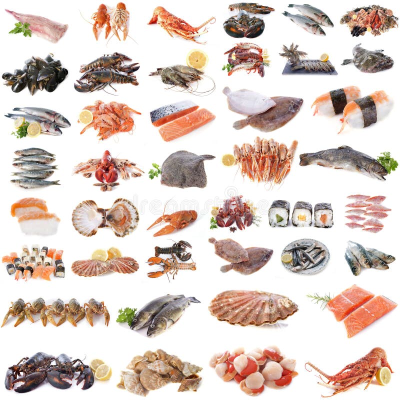 Fruits De Mer, Poissons Et Mollusques Et Crustacés Image stock Image du flatfish, persil 43416575
