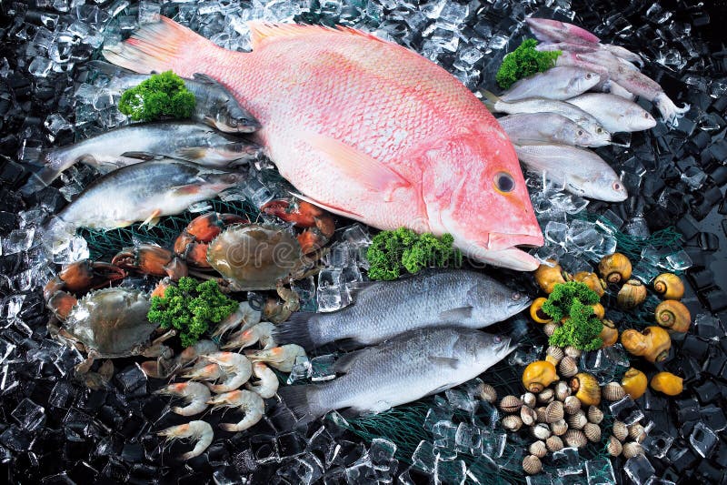 Fruits de mer sur le marché au-dessus de la glace images libres de droits Fruits de mer sur le marché au-dessus de la glace images libres de droits