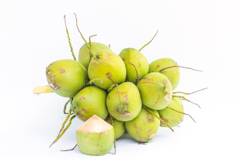 Fruits de noix de coco pour le boire de l'eau photos stock Fruits de noix de coco pour le boire de l'eau photos stock