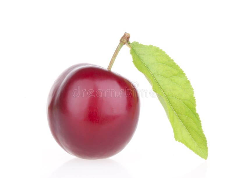 Fruits de plomb avec la lame Fruits de plomb avec la lame