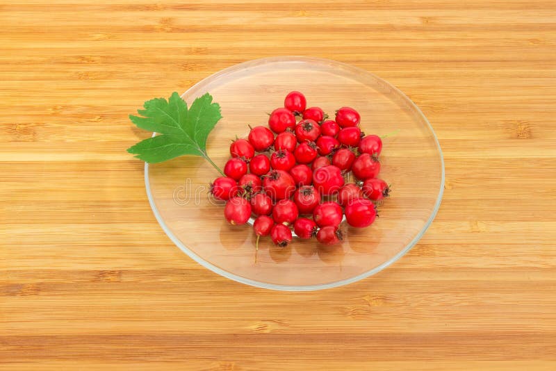 Fruits et feuille de l'aubépine sur la soucoupe en verre images stock Fruits et feuille de l'aubépine sur la soucoupe en verre images stock